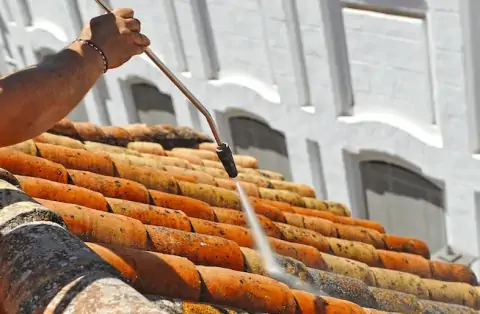 Nettoyage de toitures - Lauraguel